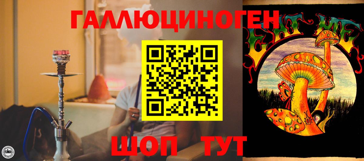 Нижнеудинск  Псилоцибиновые грибы мицелий  Псилоцибиновые грибы Psilocybe  Вход с VPN 